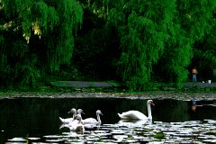 photo 0128